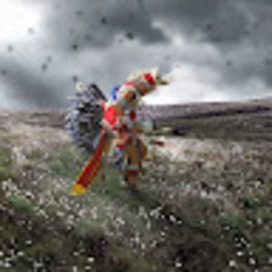 Meet your Posher, Darlene